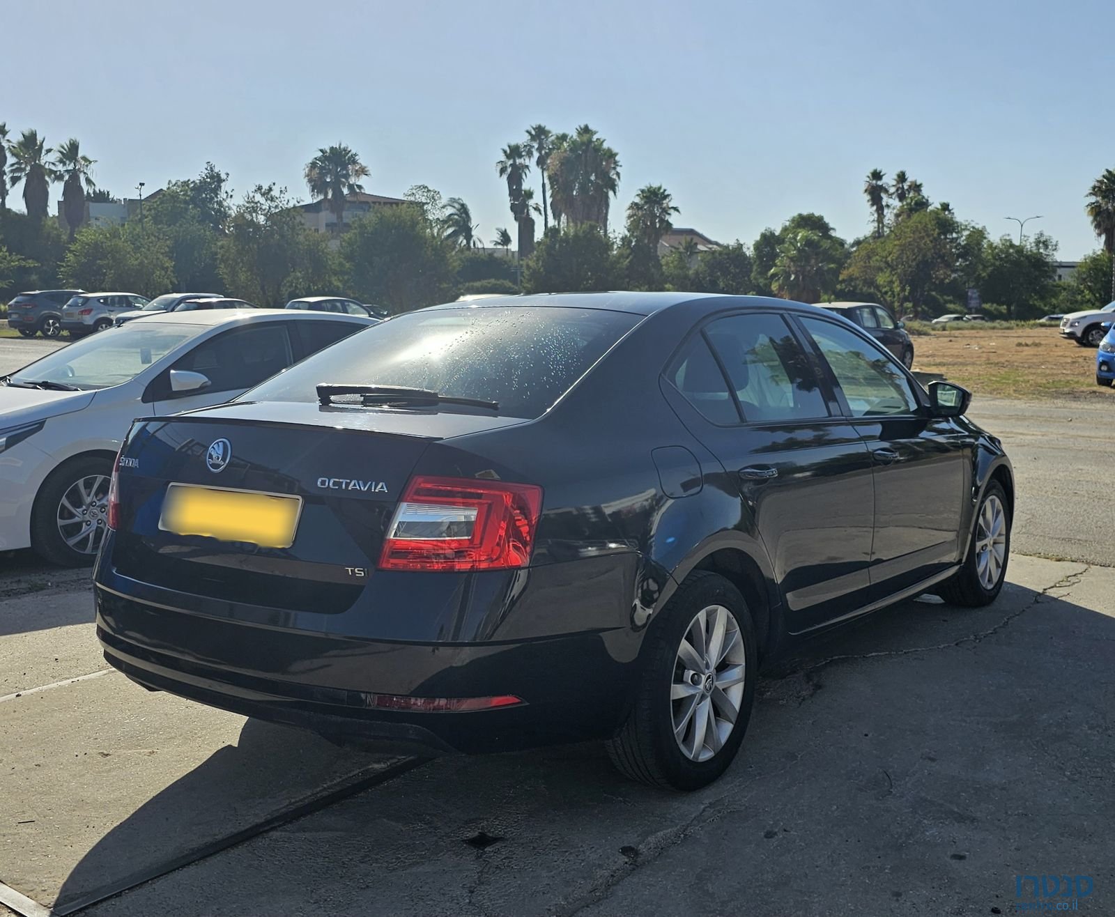 2019' Skoda Octavia סקודה אוקטביה photo #5