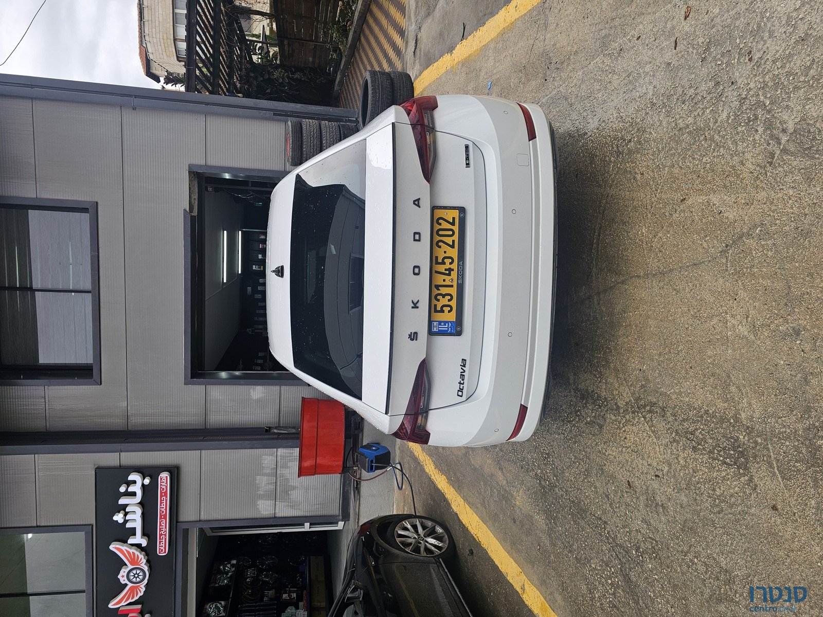 2021' Skoda Octavia photo #4