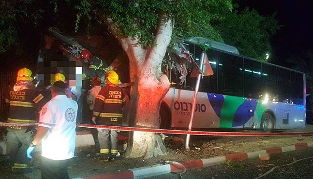В Тверии автобус врезался в дерево: пострадали четыре человека