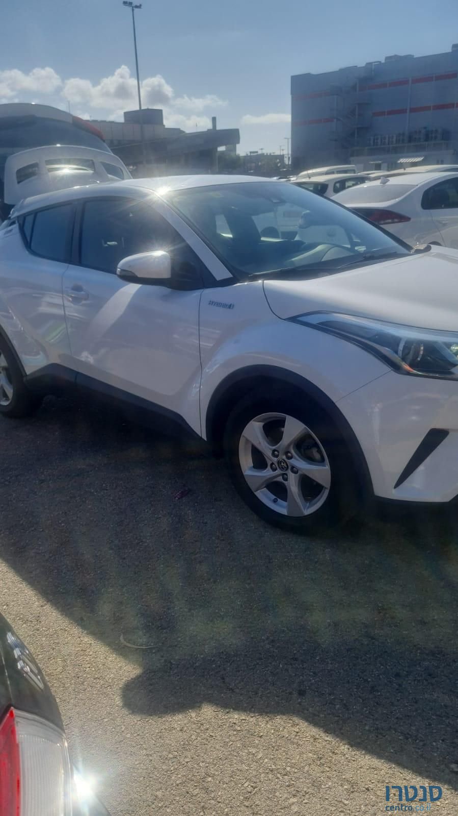 2019' Toyota C-HR טויוטה photo #1