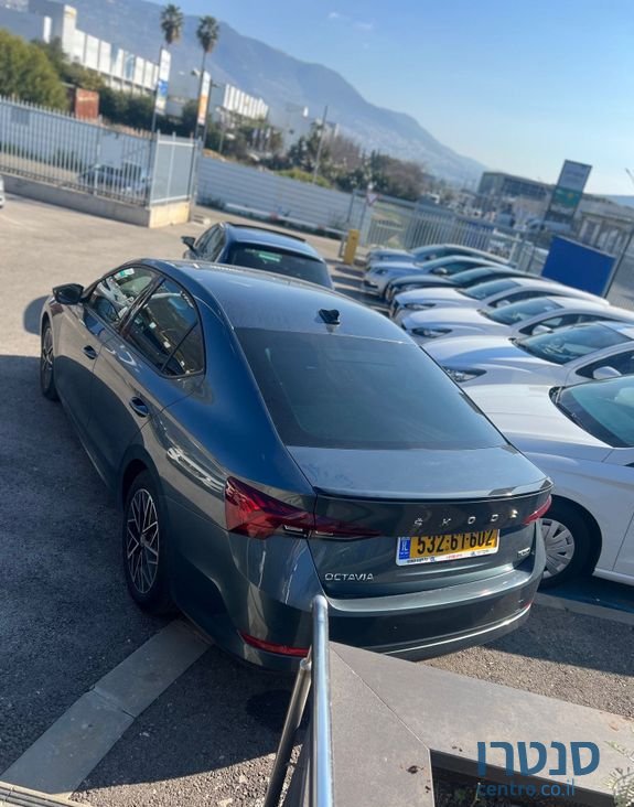 2021' Skoda Octavia סקודה אוקטביה photo #1