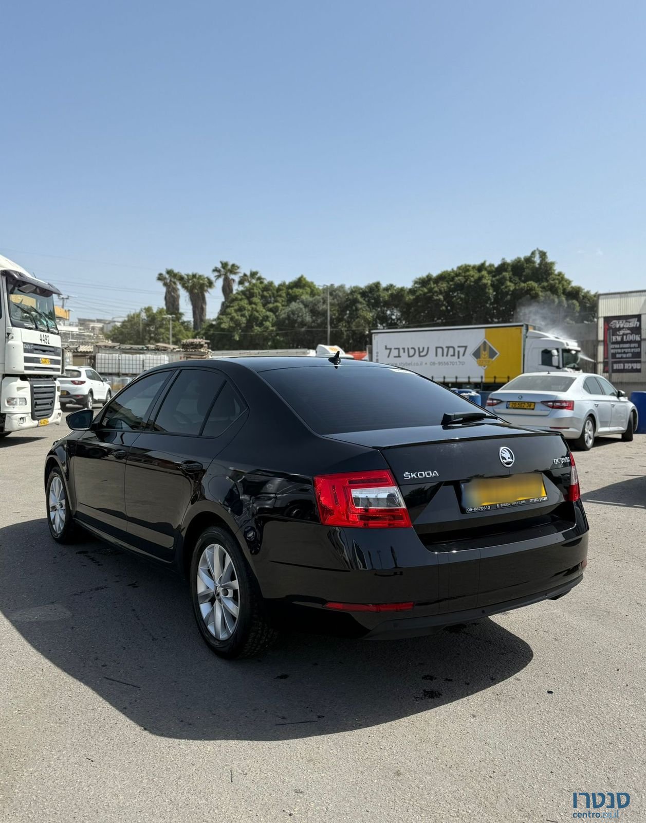 2020' Skoda Octavia סקודה אוקטביה photo #5