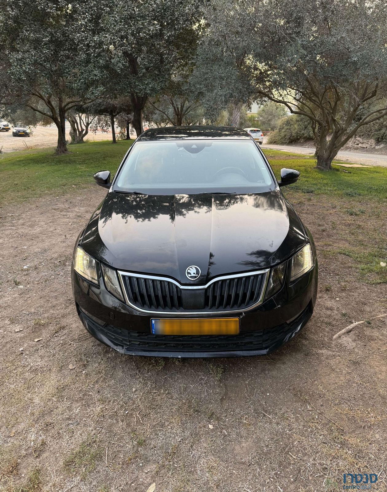 2019' Skoda Octavia סקודה אוקטביה photo #5