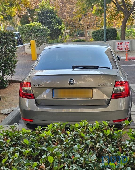 2019' Skoda Octavia סקודה אוקטביה photo #2