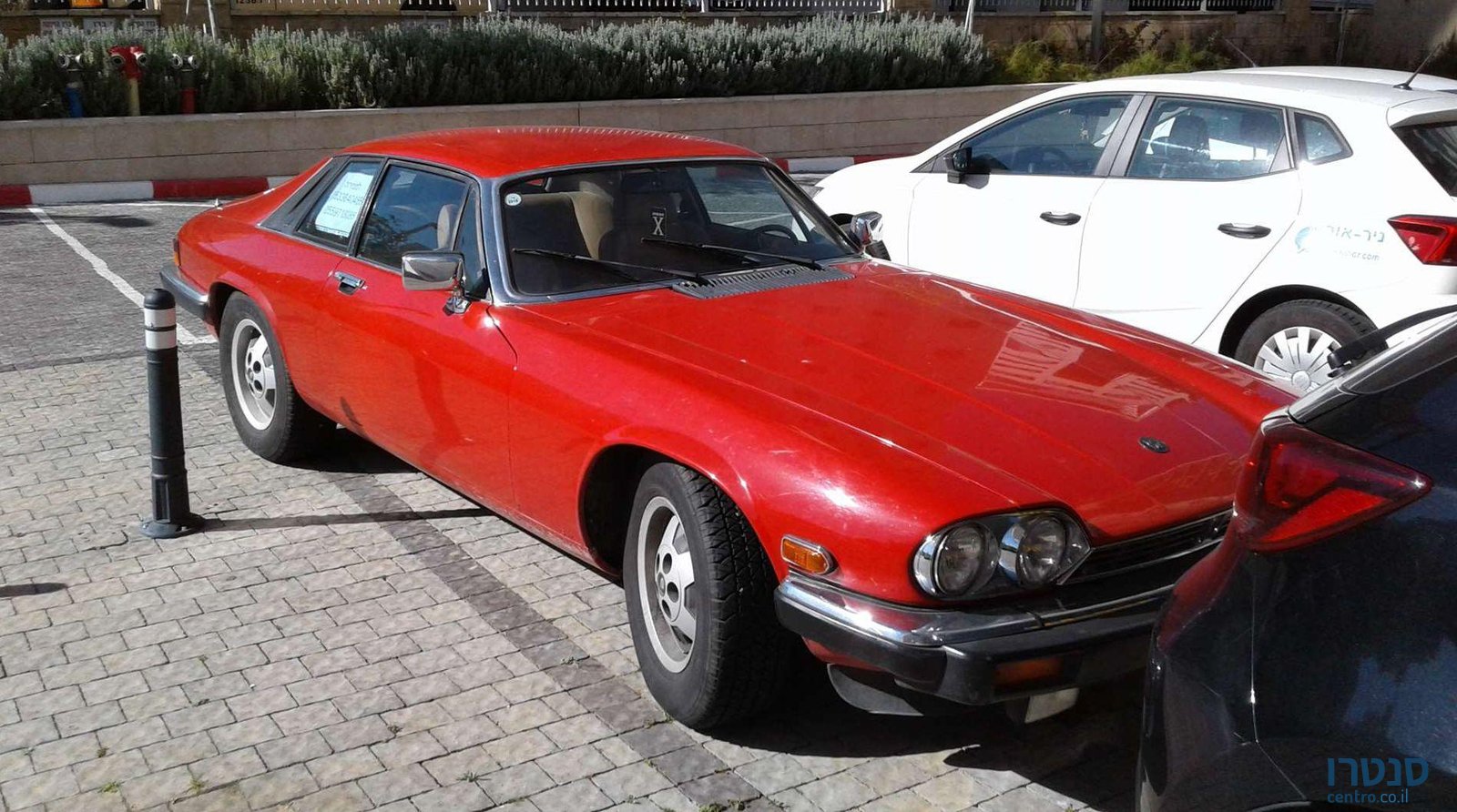 1986' Jaguar XJS יגואר photo #1