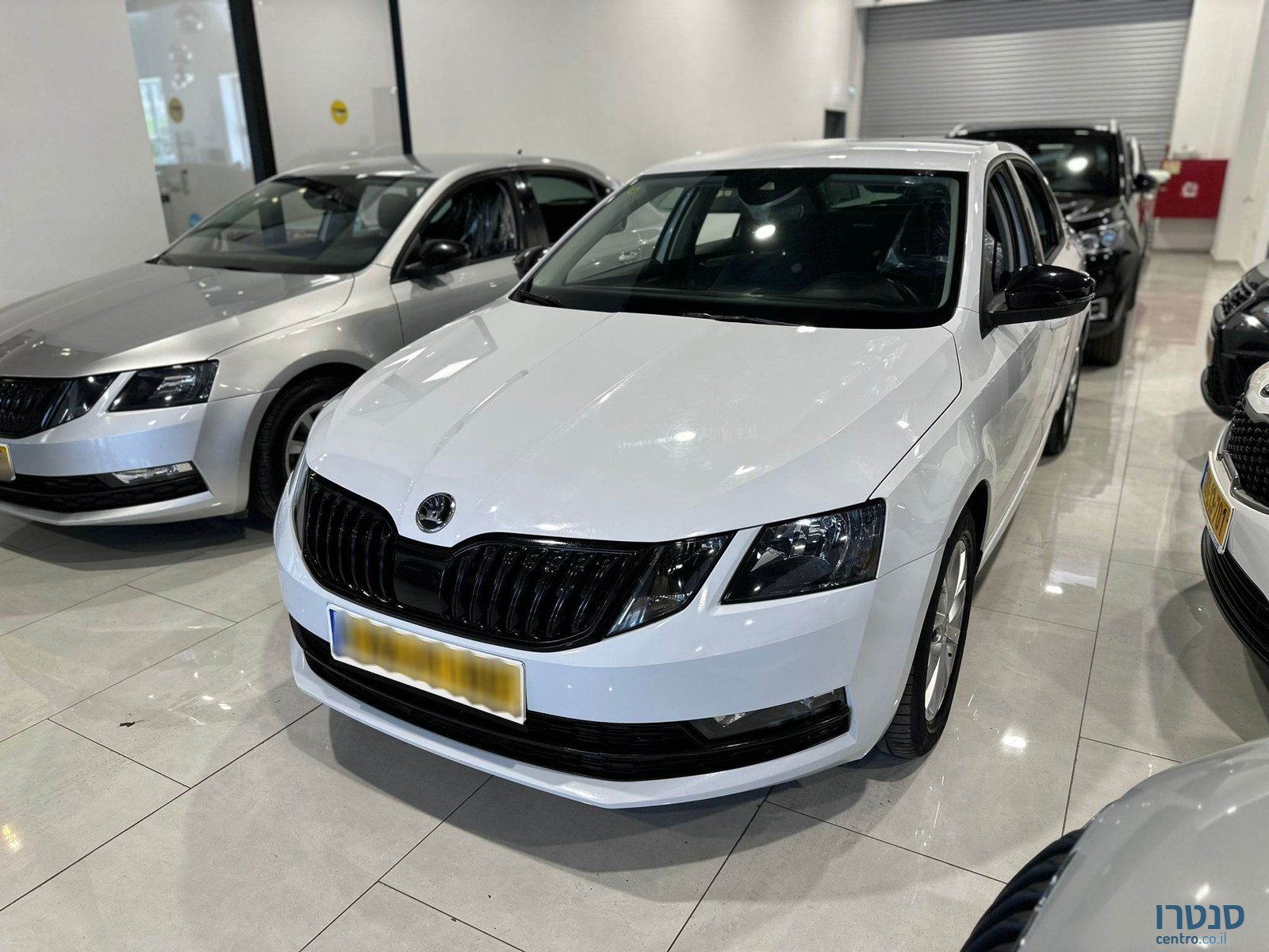 2020' Skoda Octavia photo #1