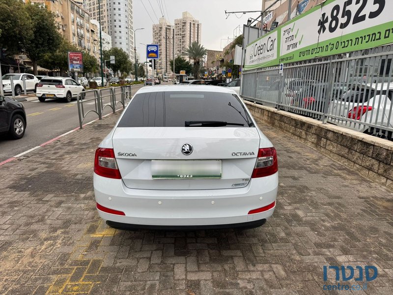 2017' Skoda Octavia photo #5