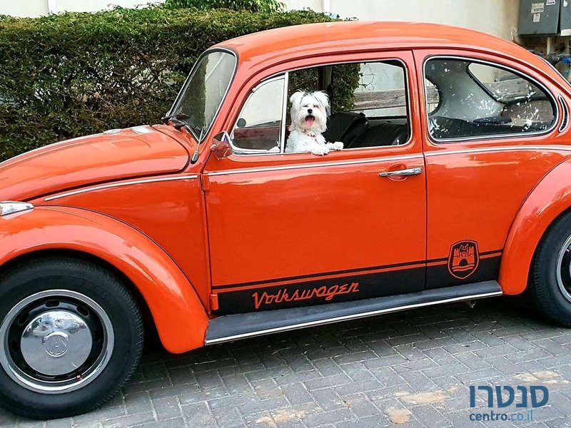 1982' Volkswagen Beetle פולקסווגן חיפושית photo #2
