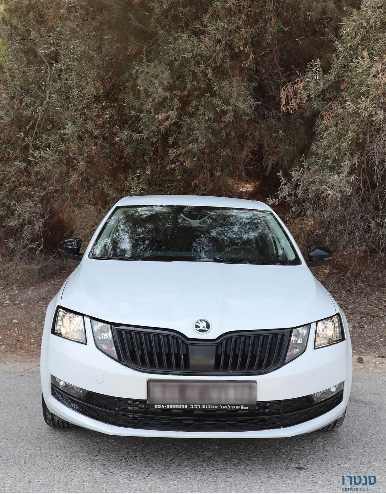 2020' Skoda Octavia סקודה אוקטביה photo #6
