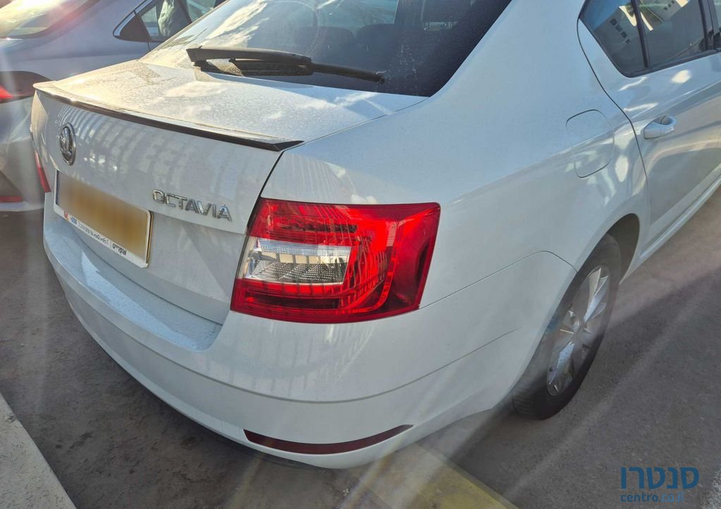 2020' Skoda Octavia סקודה אוקטביה photo #4