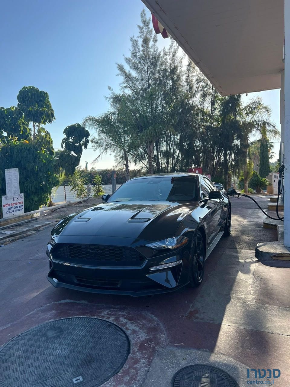 2023' Ford Mustang פורד מוסטנג photo #6