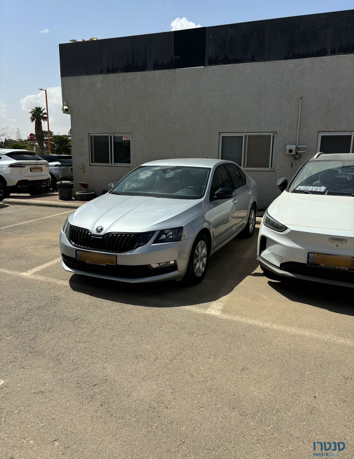 2020' Skoda Octavia סקודה אוקטביה photo #4