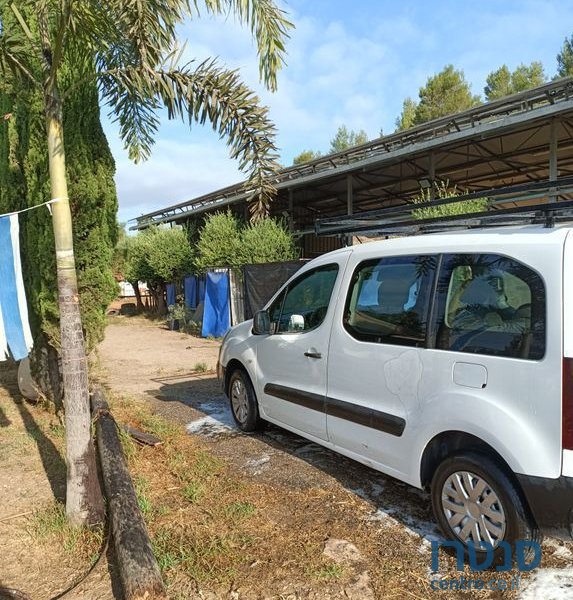 2019' Citroen Berlingo סיטרואן ברלינגו photo #3