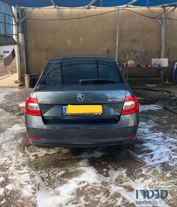 2019' Skoda Octavia סקודה אוקטביה photo #6