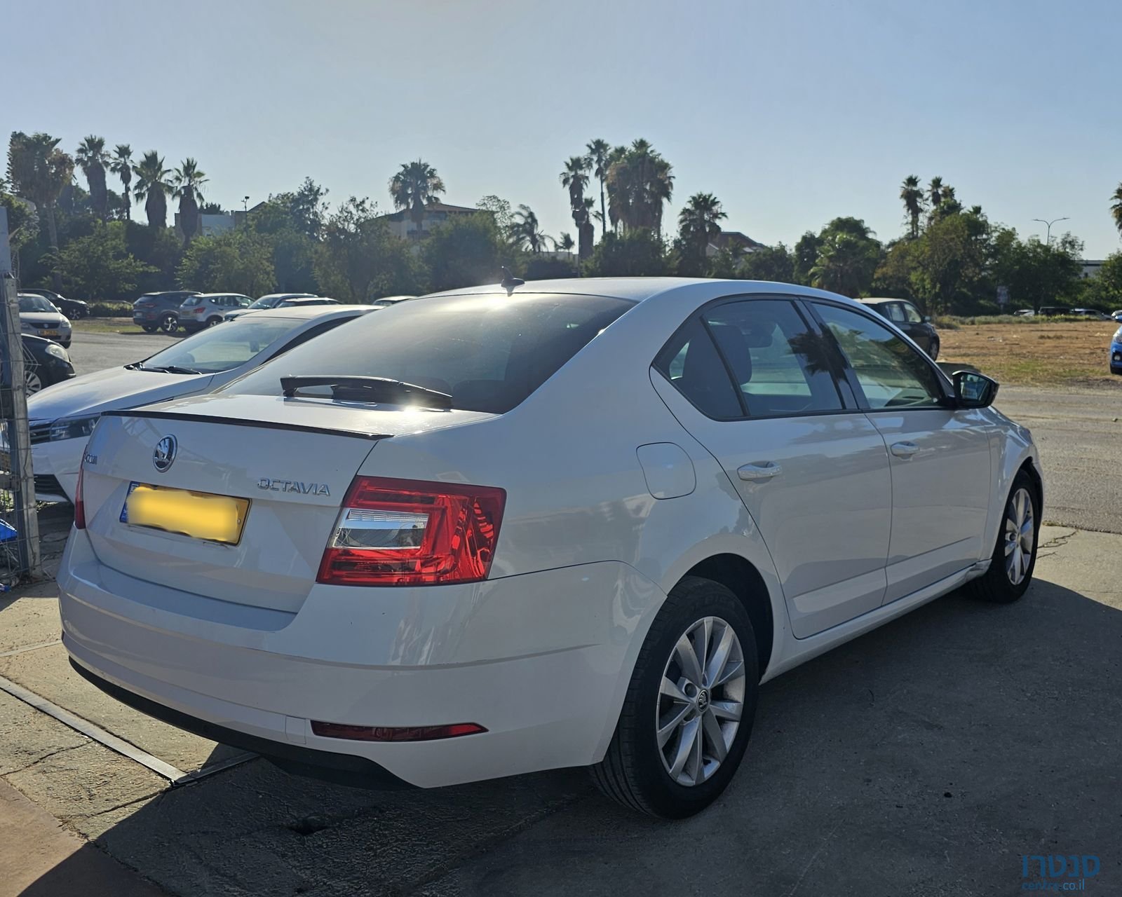 2020' Skoda Octavia סקודה אוקטביה photo #5