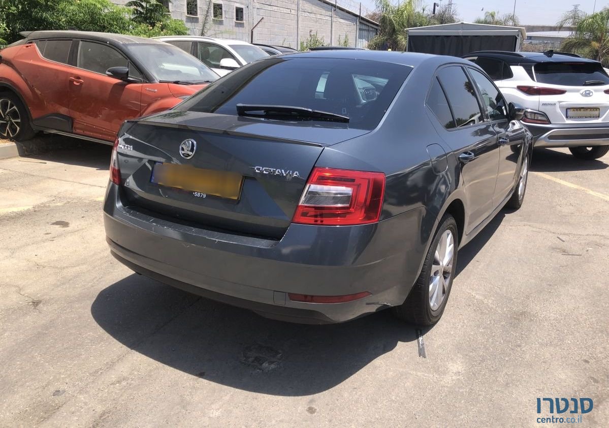 2019' Skoda Octavia סקודה אוקטביה photo #2