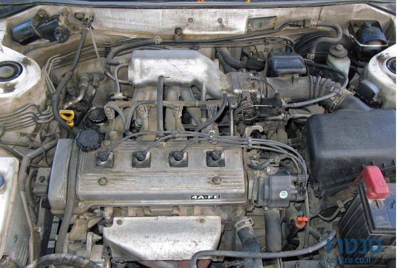 1998' Toyota Corolla photo #1