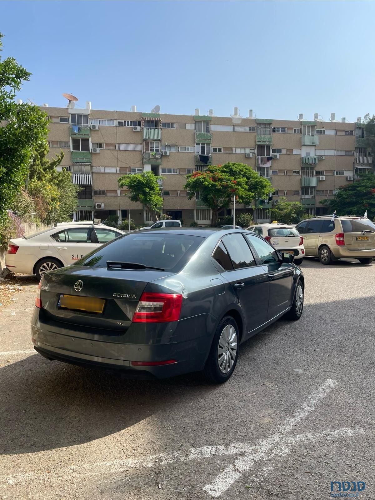 2017' Skoda Octavia סקודה אוקטביה photo #3