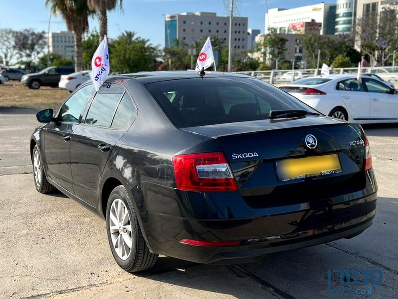 2019' Skoda Octavia סקודה אוקטביה photo #4