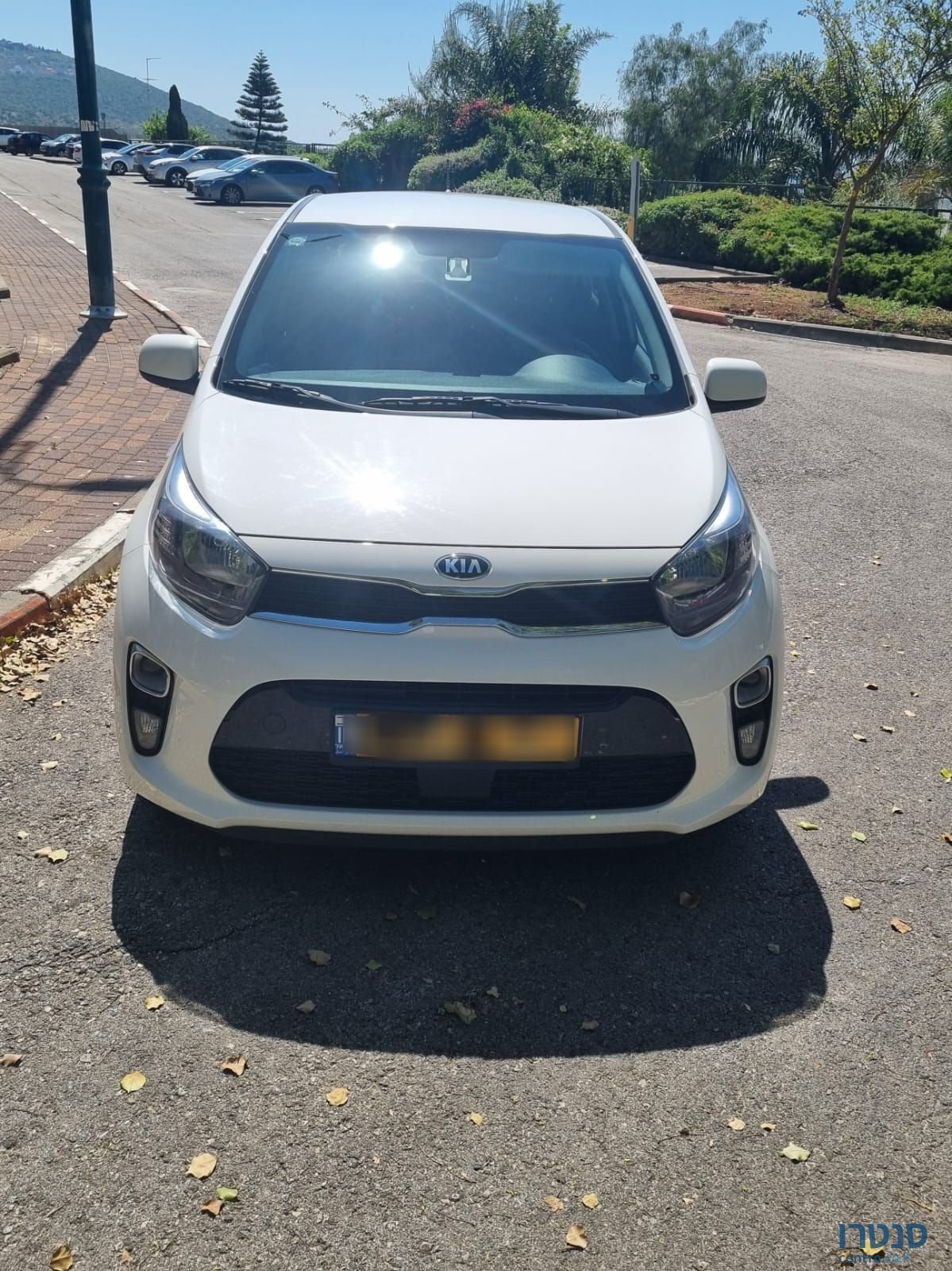 2021' Kia Picanto קיה פיקנטו photo #1
