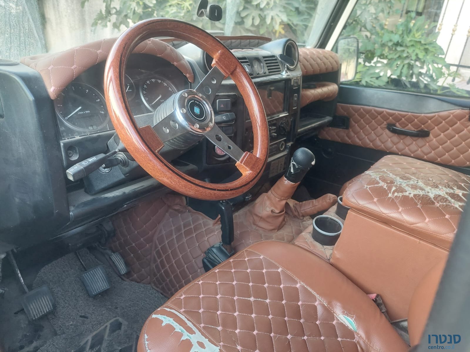 2008' Agria photo #2