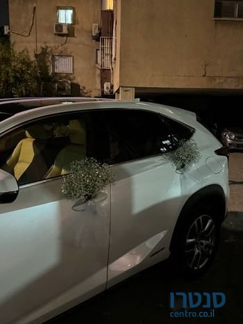 2017' Lexus NX לקסוס photo #3