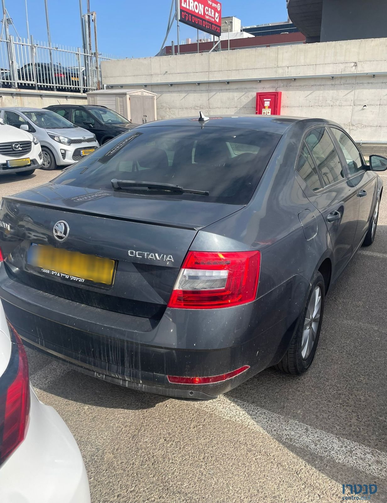 2020' Skoda Octavia סקודה אוקטביה photo #3