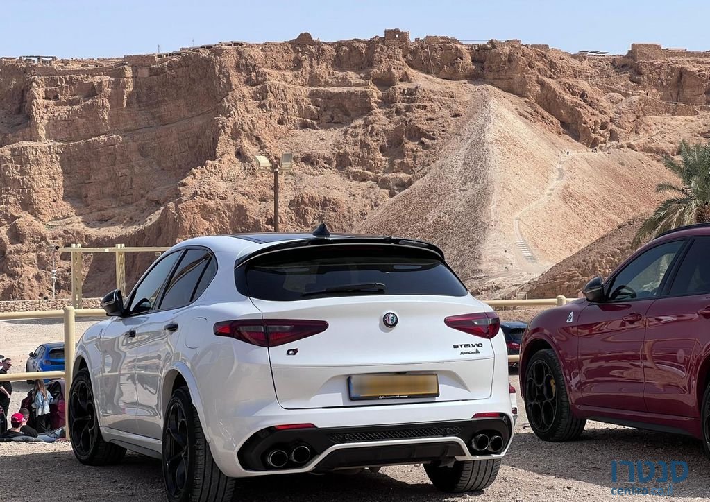 2019' Alfa Romeo Stelvio אלפא רומיאו סטלויו photo #3
