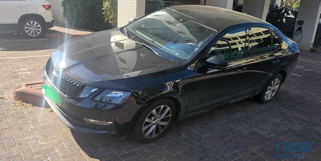 2020' Skoda Octavia סקודה אוקטביה photo #3