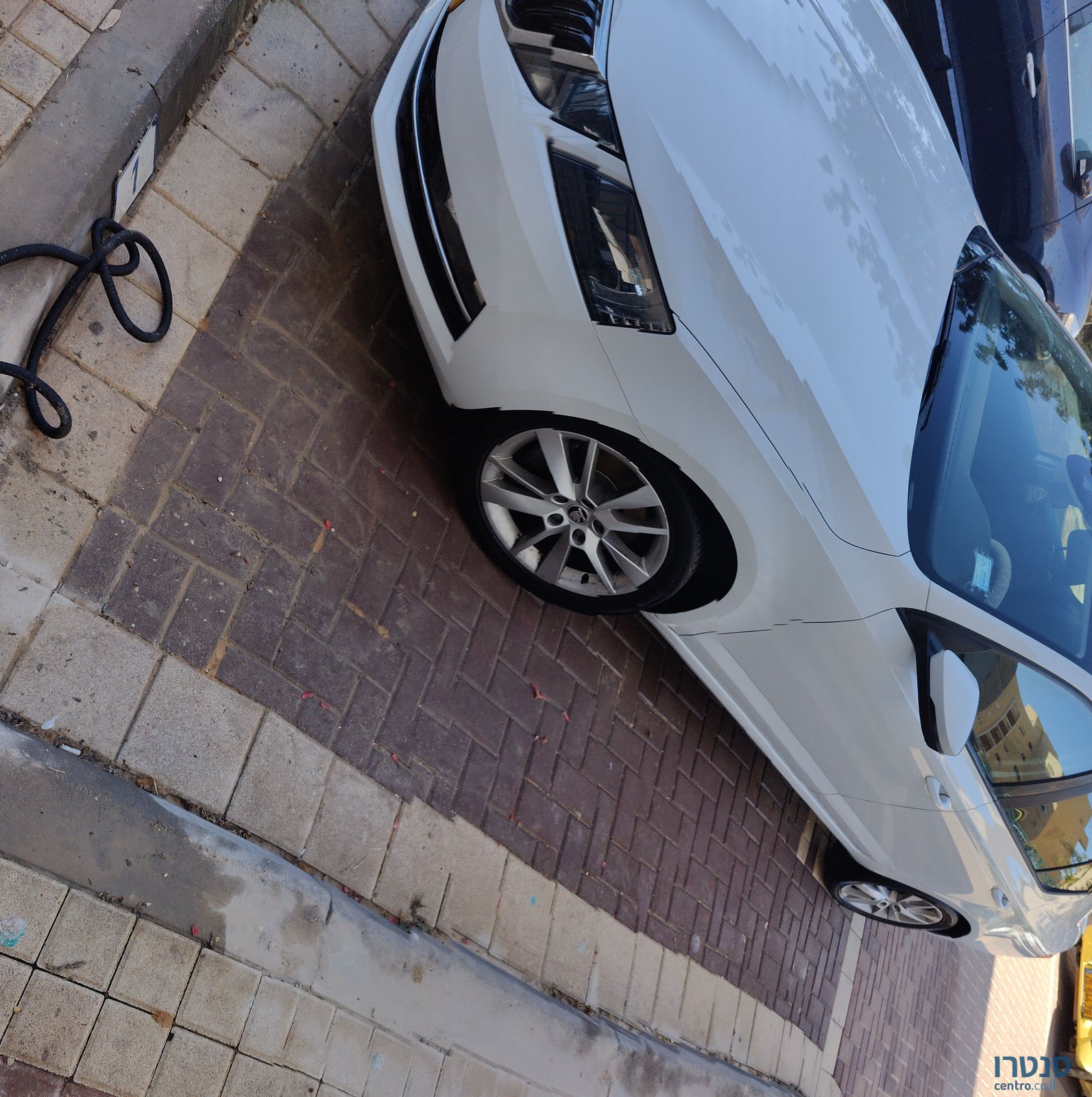 2019' Skoda Octavia סקודה אוקטביה photo #6