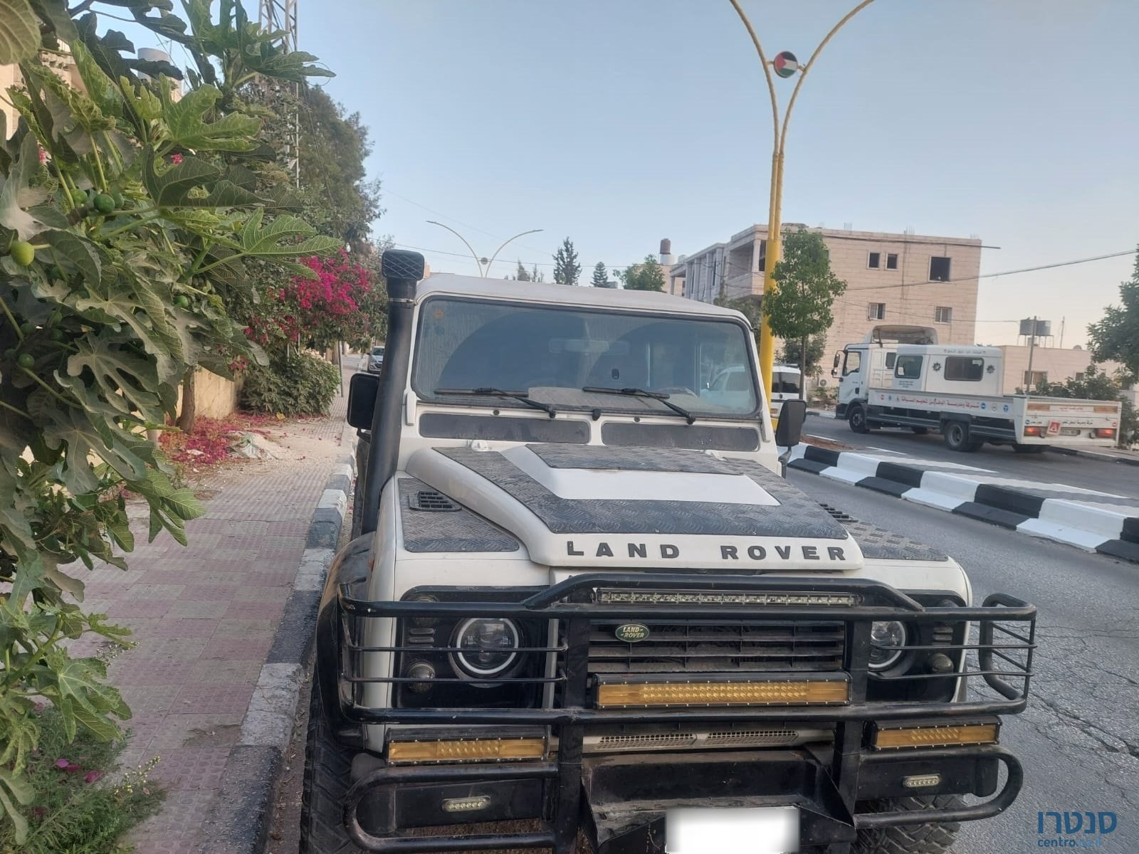 2008' Agria photo #1