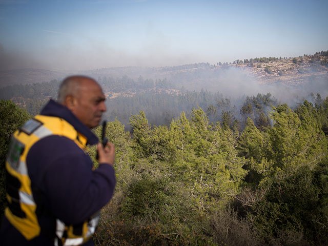 Седьмые сутки после начала лесных пожаров в Израиле: сводка
