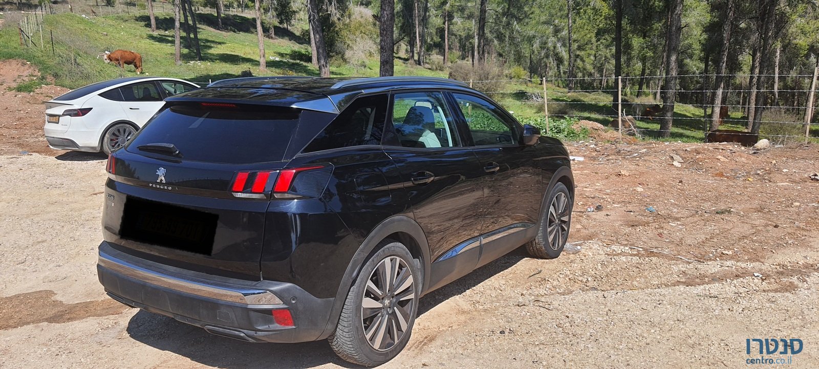 2020' Peugeot 3008 1.5 turbodizel hdi Premium photo #6