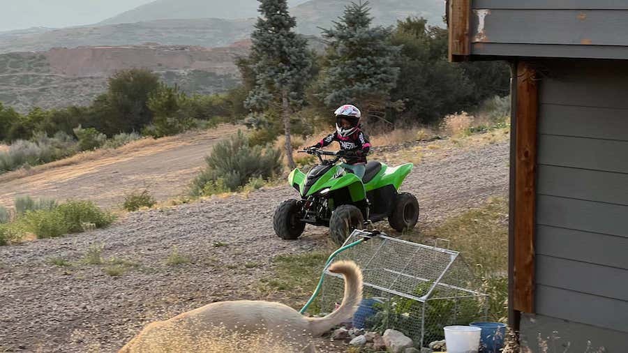 Kawasaki's KFX50 Youth ATV Makes It Easy to Learn, and Get Your Kids Smiling