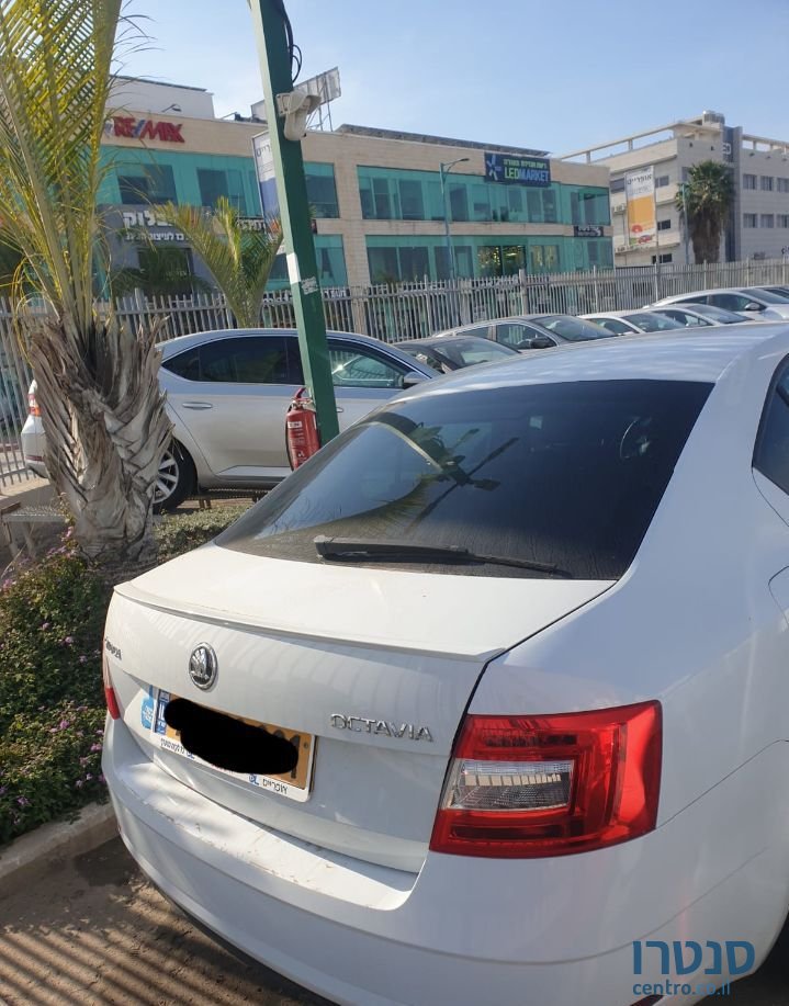 2019' Skoda Octavia סקודה אוקטביה photo #3