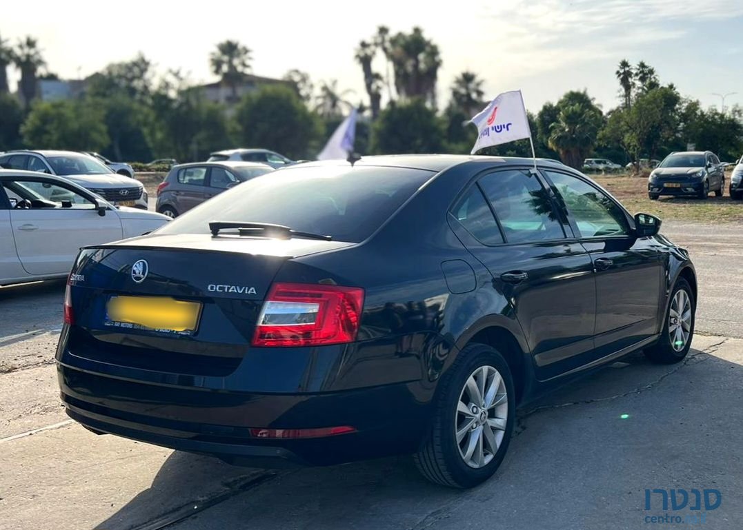 2019' Skoda Octavia סקודה אוקטביה photo #6