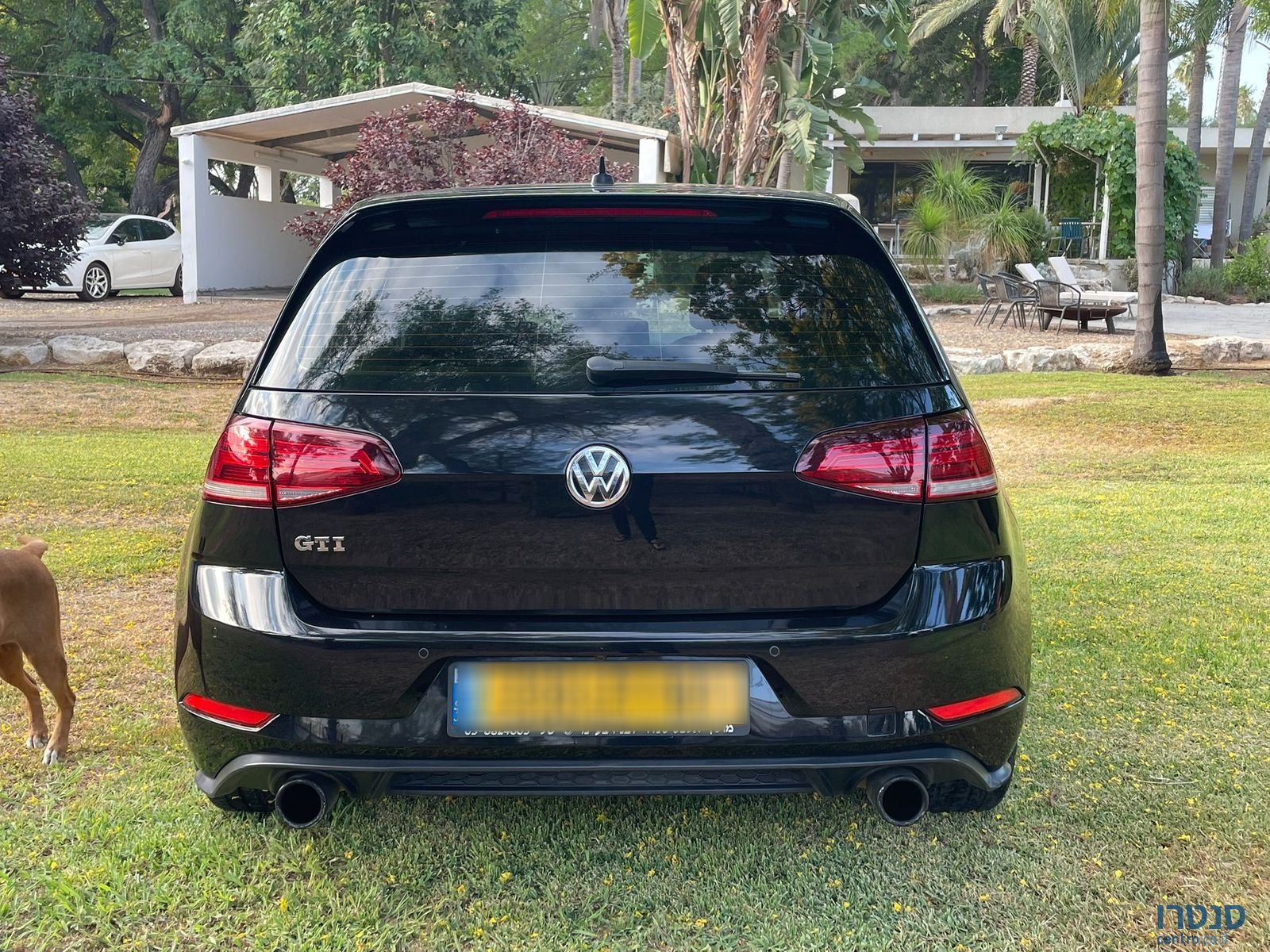 2017' Volkswagen Golf GTI photo #1