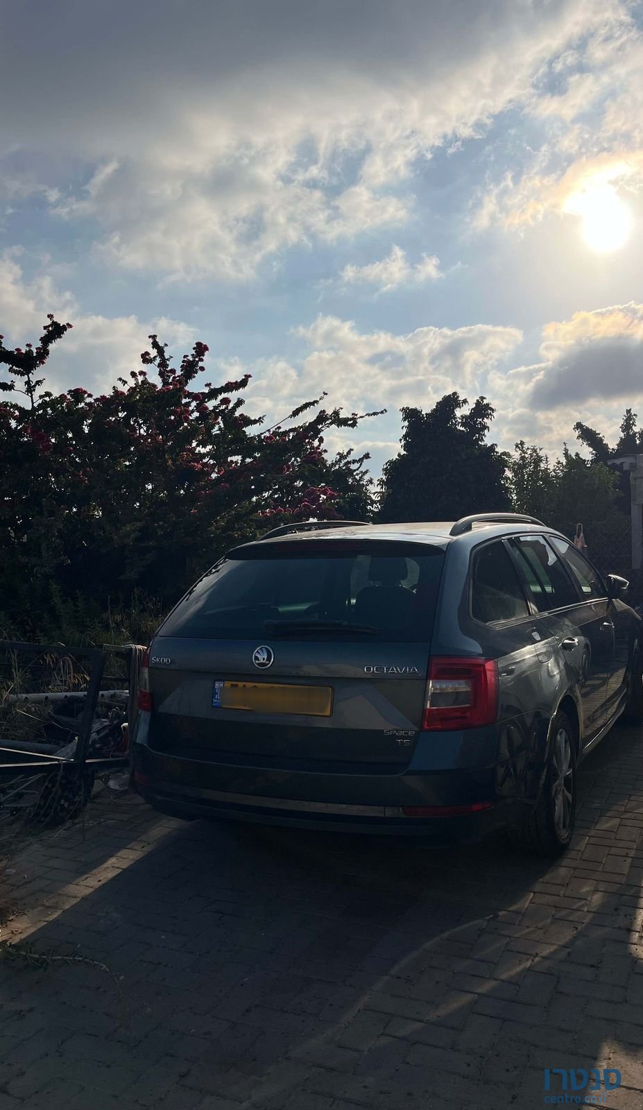 2019' Skoda Octavia סקודה אוקטביה photo #2