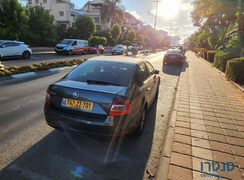 2019' Skoda Octavia Ambition photo #2