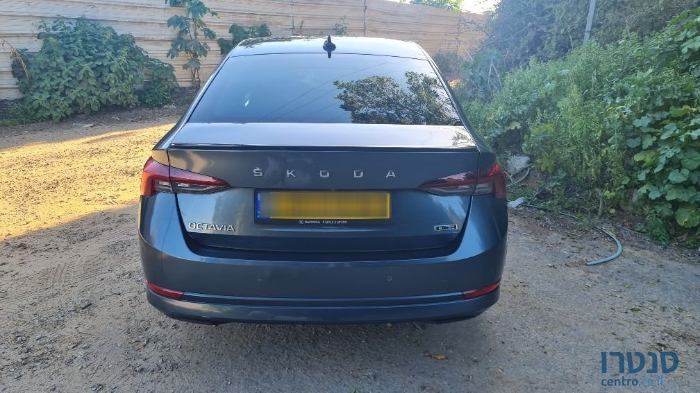 2021' Skoda Octavia סקודה אוקטביה photo #2