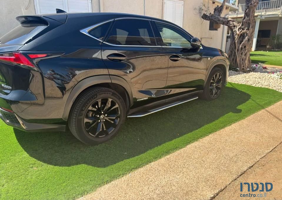 2019' Lexus NX לקסוס photo #1