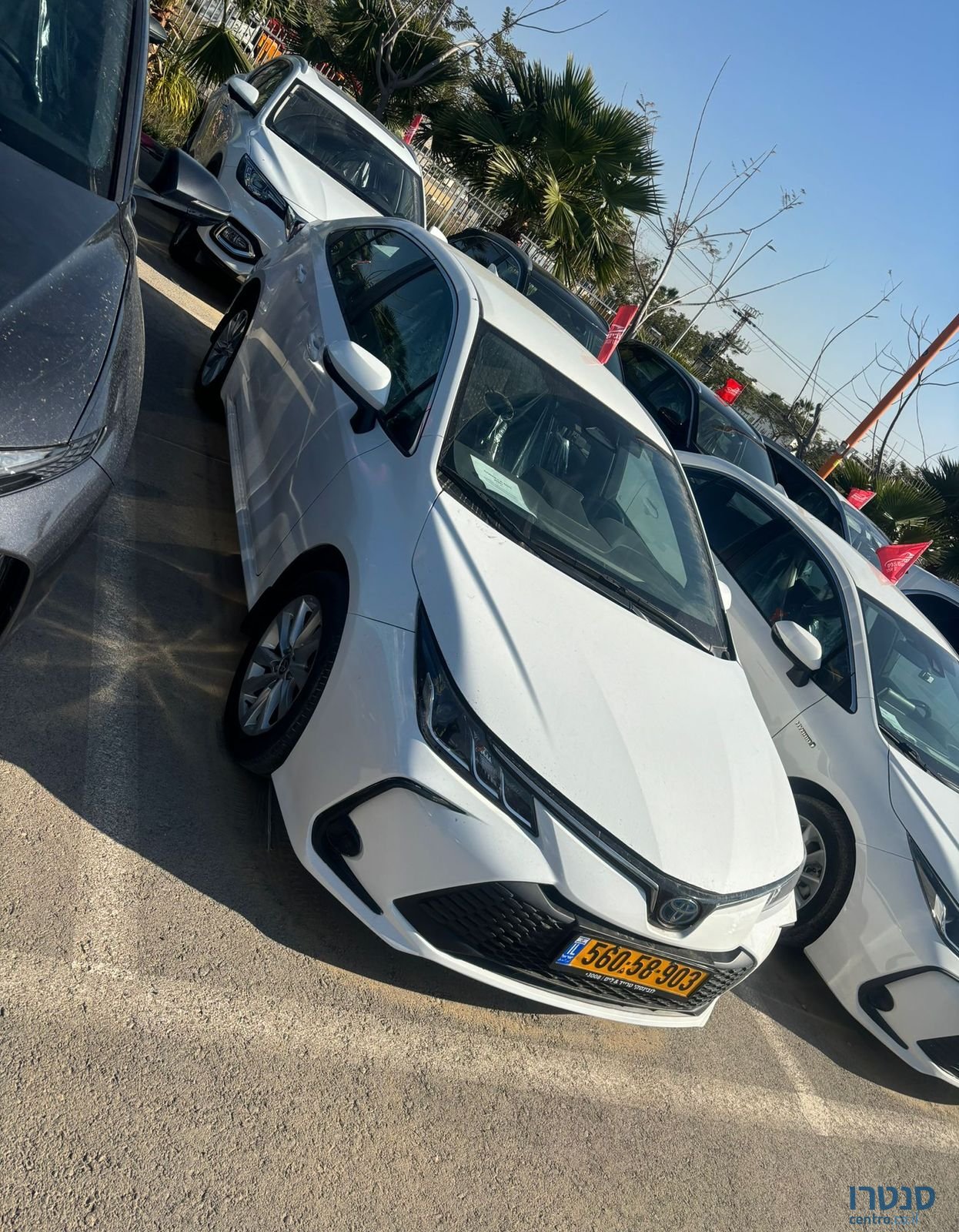 2023' Toyota Corolla טויוטה קורולה photo #1