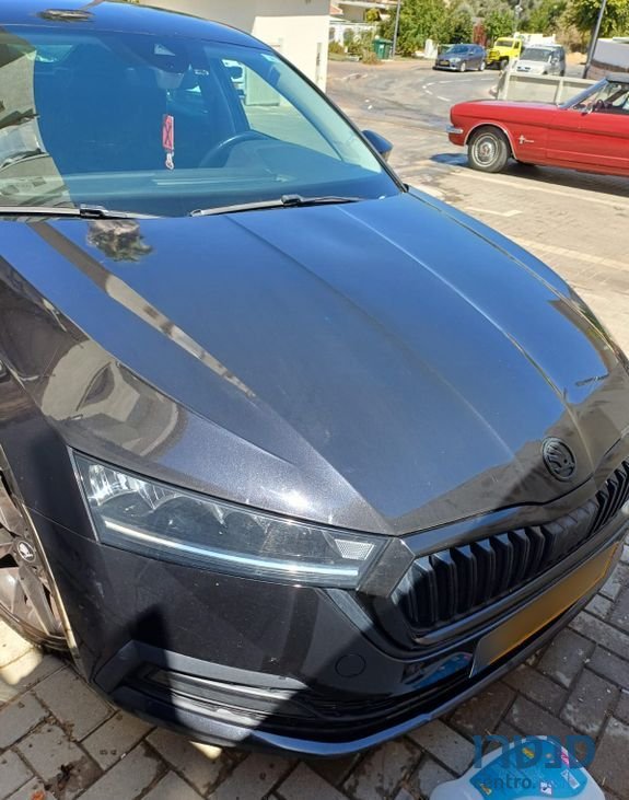 2021' Skoda Octavia סקודה אוקטביה photo #6