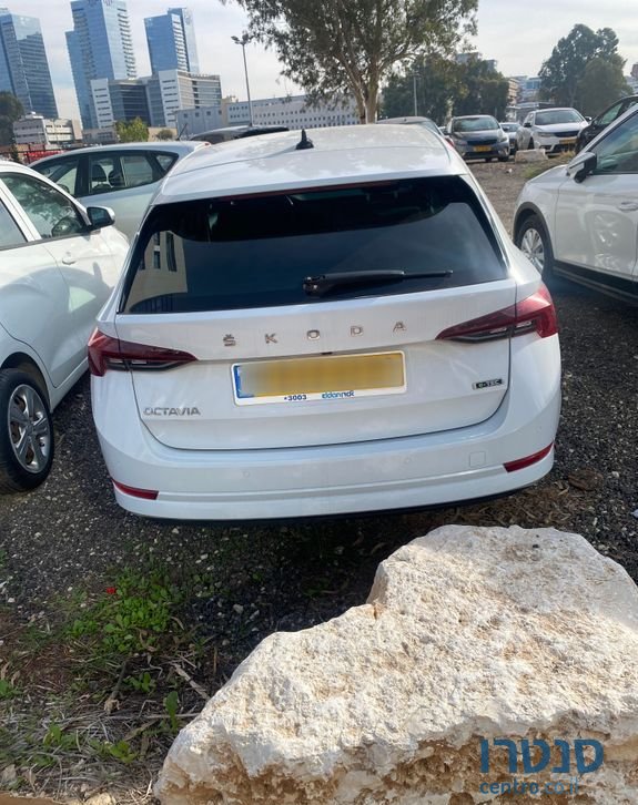 2021' Skoda Octavia סקודה אוקטביה photo #6