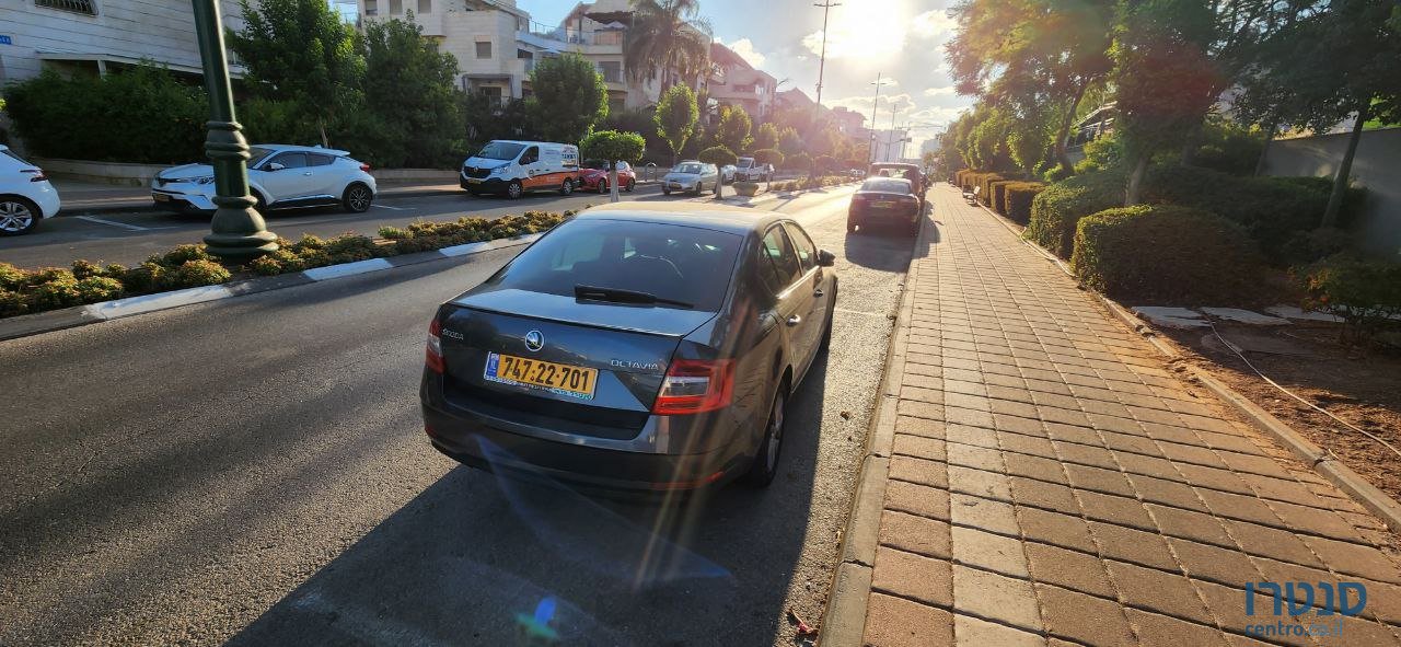 2019' Skoda Octavia Ambition photo #2