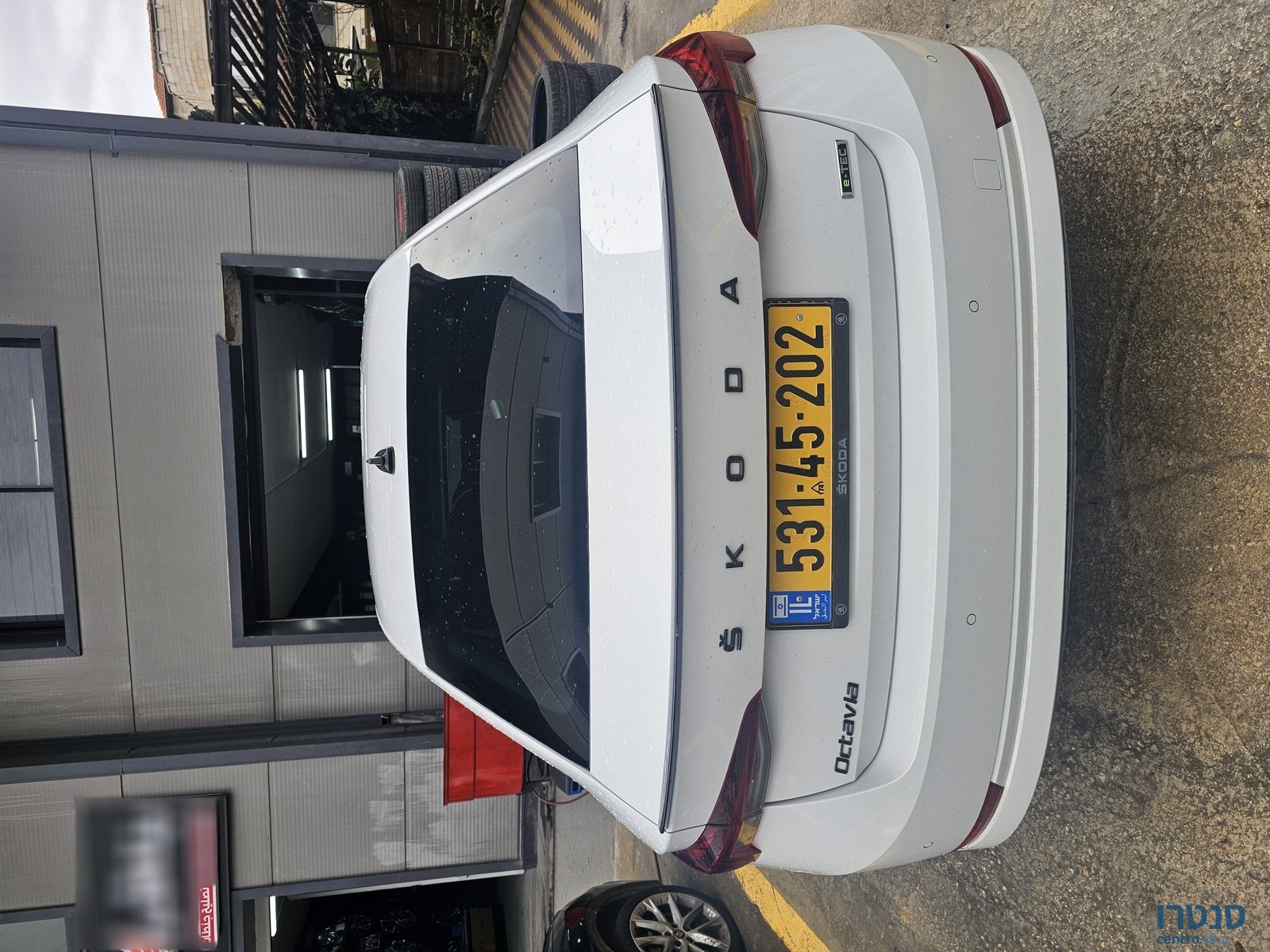 2021' Skoda Octavia photo #6