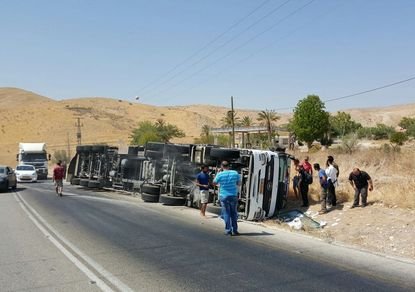 В ДТП в Иорданской долине погибли 15 коров