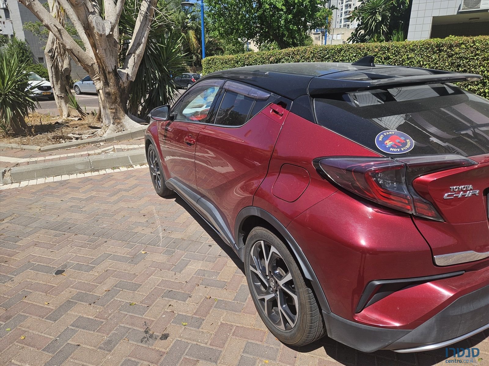 2019' Toyota C-HR טויוטה photo #2
