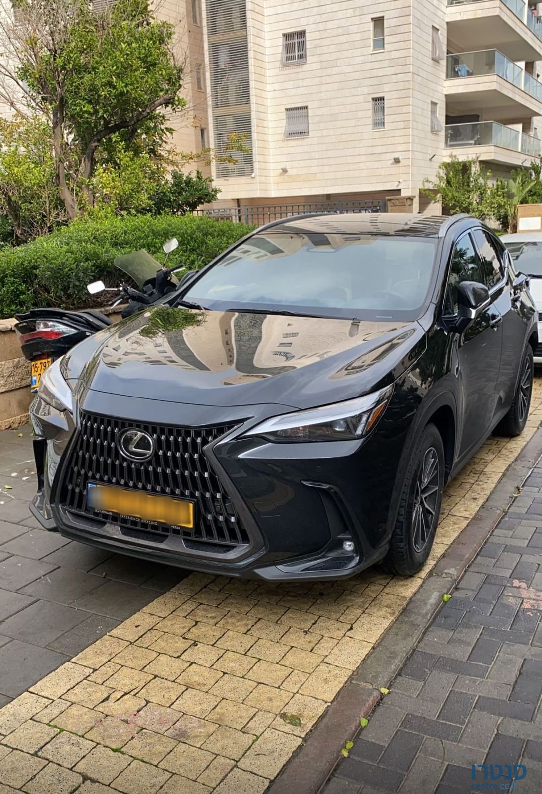 2024' Lexus NX לקסוס photo #1