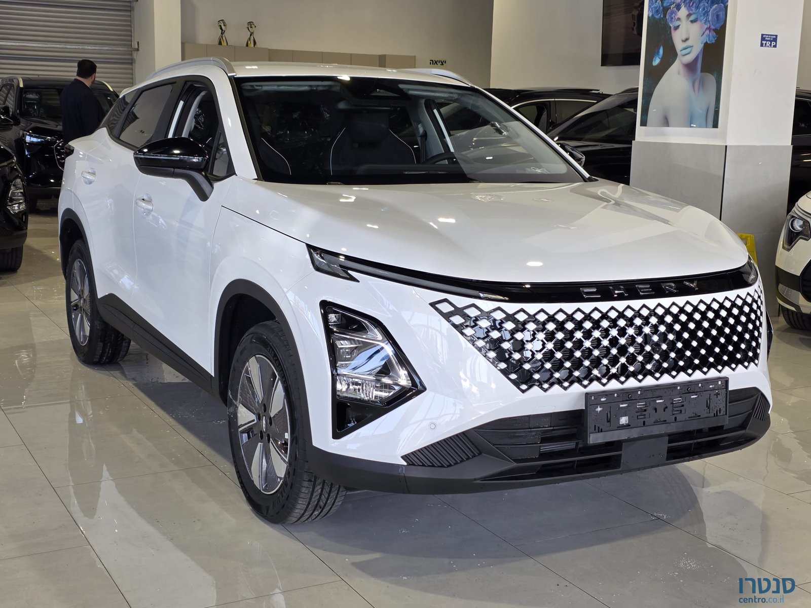 2025' Shelby מודל 2026 דגם FX photo #6